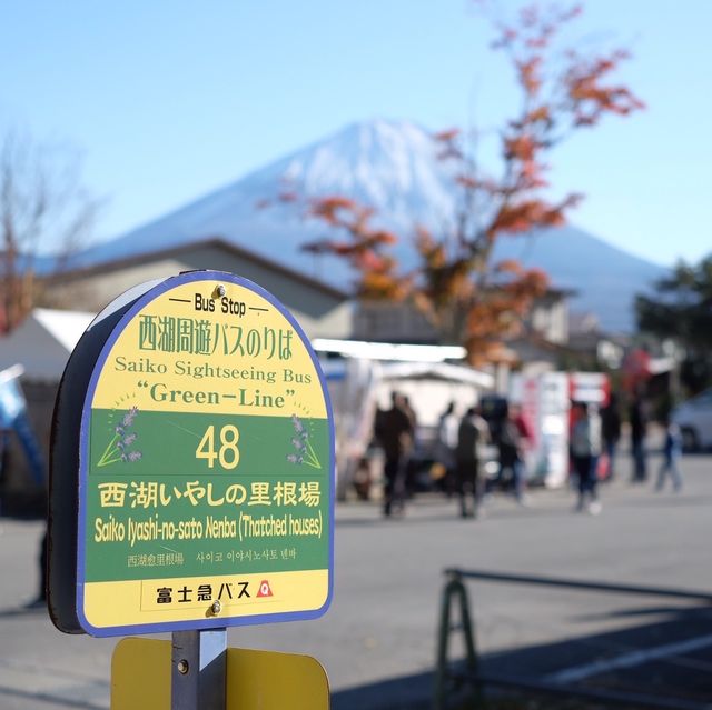 Fujisan ( ภูเขาฟูจิ ) 🗻