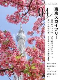 東京おすすめ桜スポット5選