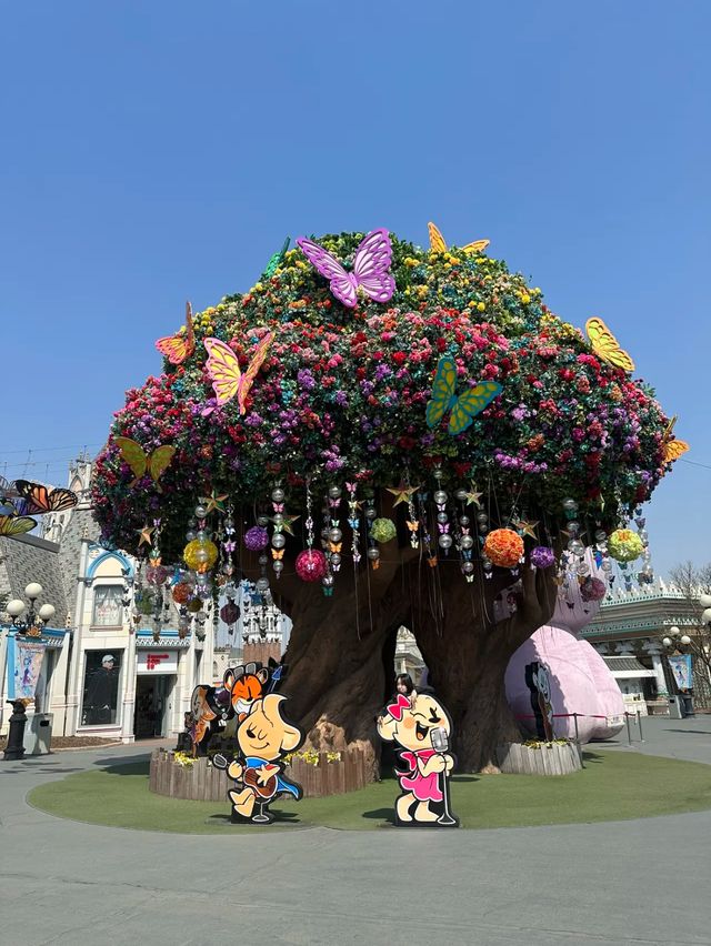 🇰🇷สวนสนุก Everland เกาหลีใต้ 🎡🎢 Korea trip