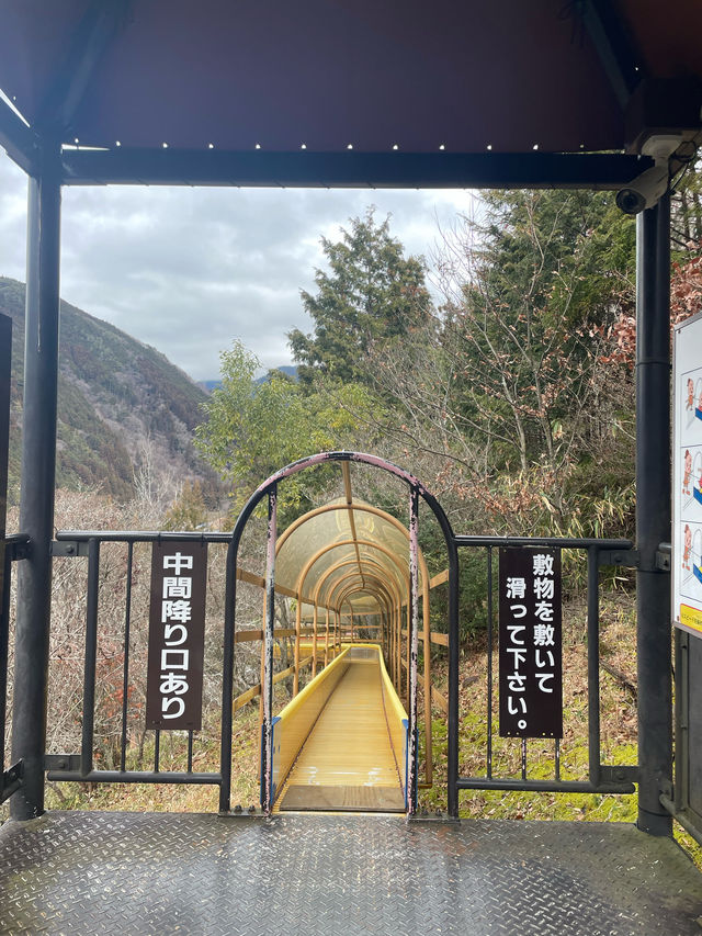 下呂溫泉合掌村｜必玩！100yen 「森林溜滑梯」🌟