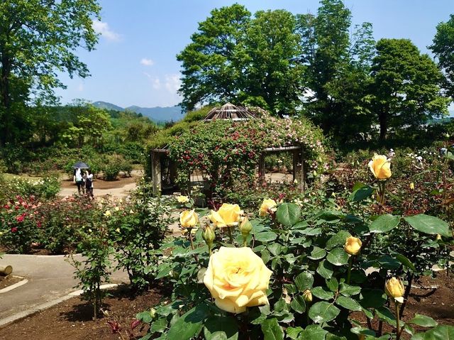 Ibaraki Flower Park