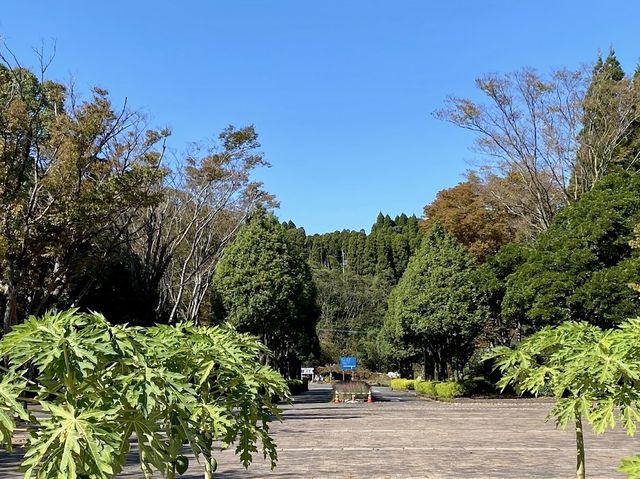 Kagoshima Kenko-no-mori Park