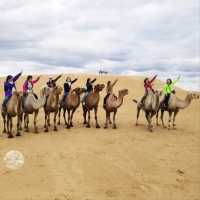 We suggest the following tours for you