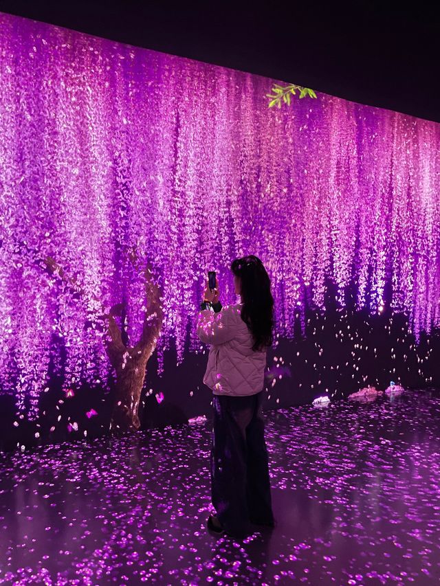 여수 아르떼뮤지엄에서 색다른 경험을 해보세요🎨