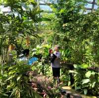 말레이시아 페낭 '나비정원' Entopia by Penang Butterfly Farm