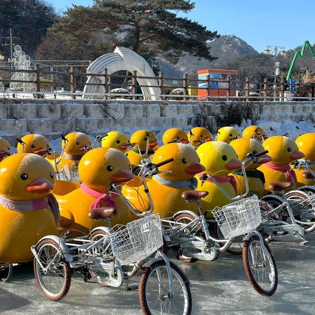 서울 근교 설경 즐기기 좋은 산정호수 액티비티 