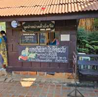 ตลาดน้ำอโยธยา
