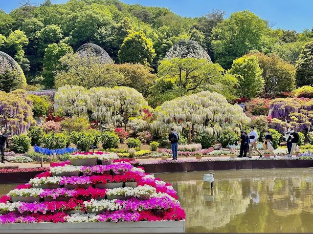 Ashikaga Flower Park 