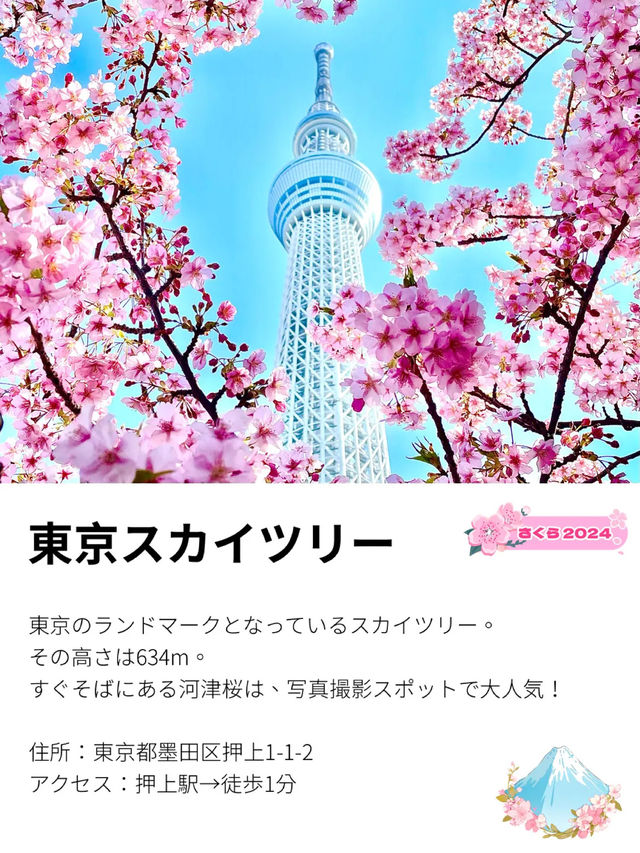 【東京スカイツリー/東京都】スカイツリー×河津桜