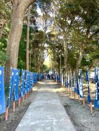 【泉神社/茨城県】エメラルドグリーンの泉と泉龍木