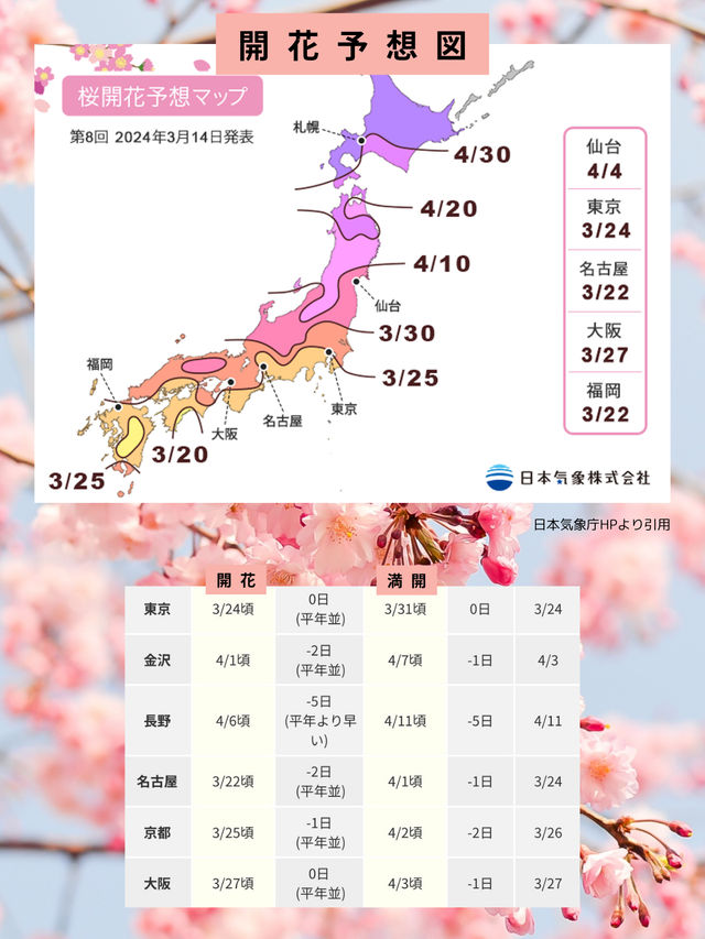 2024年🌸開花・満開全国予想つき！「東京タワー×桜」