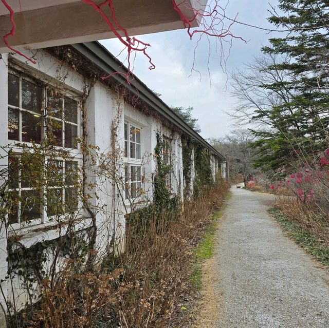국내여행 당진을 대표하는 아미미술관 관람