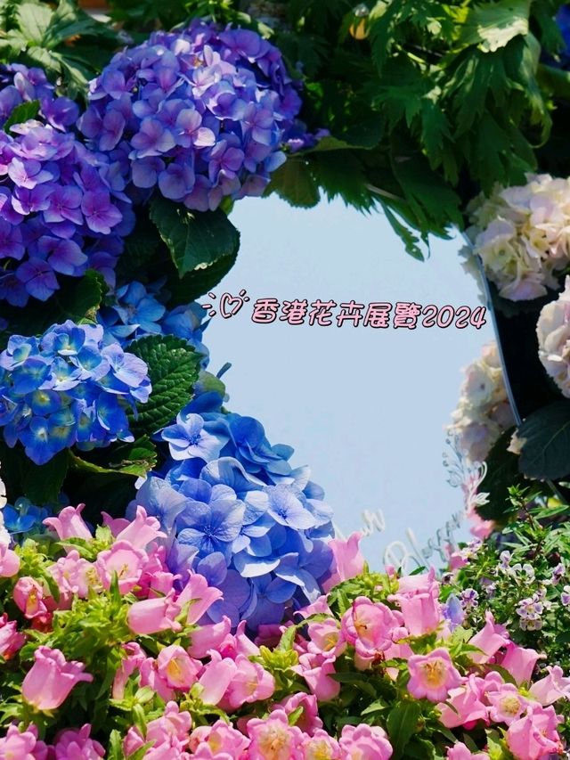 「香港花卉展覽2024」🪻🌷🌻3月15至24日