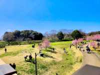 Umami-kyuryo Park 