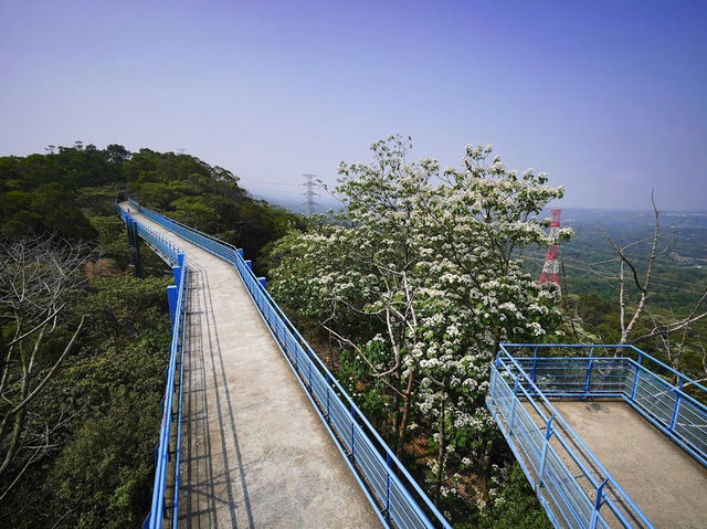 The Stunning Skywalk in Tongluo