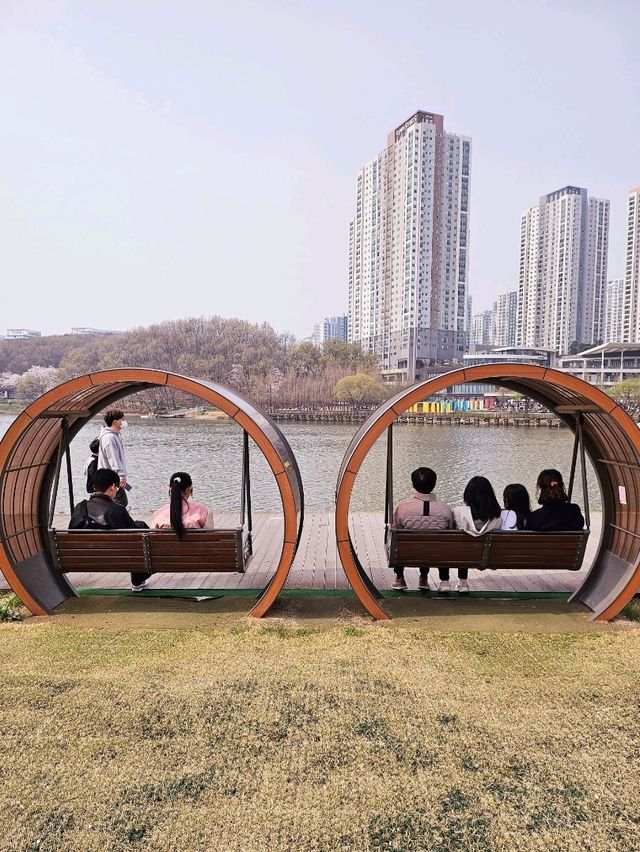 가족과 함께 떠나는 벚꽃놀이🌸