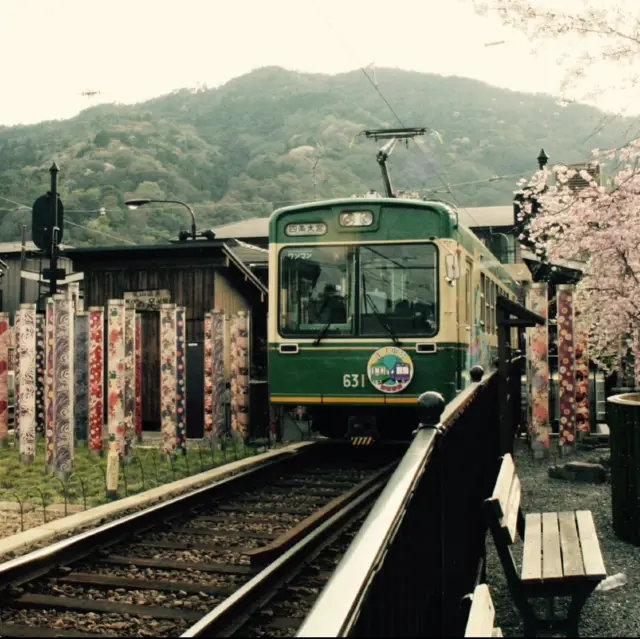 벚꽃여행은 오사카 교토로 가요~~^^ 🌸