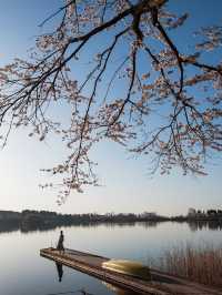 春のおすすめスポット！🌸💠