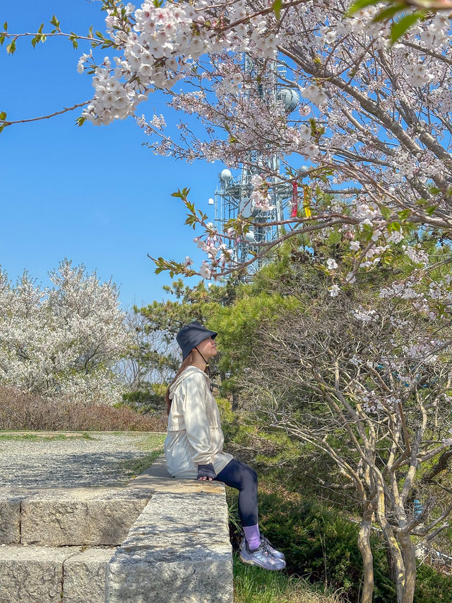 초보자도 등산할 수 있는 부산 황령산 등산코스💚