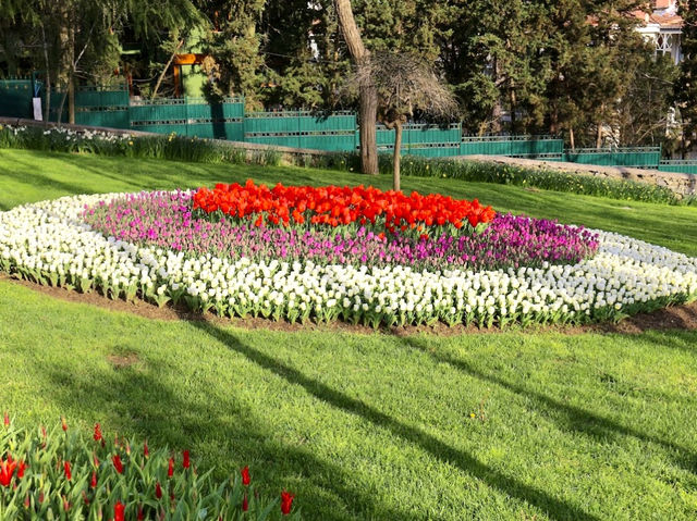 Emirgan Tulip Garden