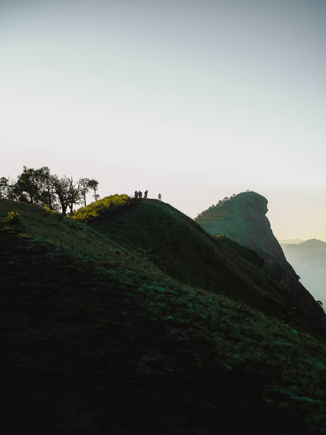 ผาหัวสิงห์ ดอยม่อนจอง ⛰️