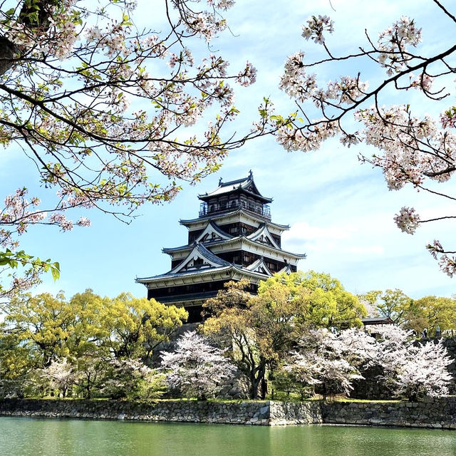 🏰 Exploring Hiroshima Castle 🌸
