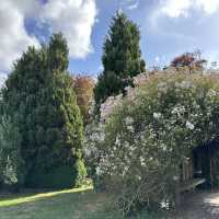 Family farm in London