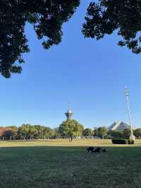 大阪　無料で自然を満喫できる公園⛲️
