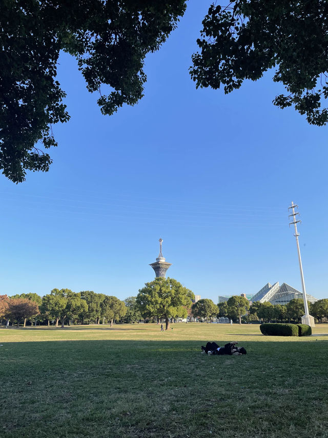 大阪　無料で自然を満喫できる公園⛲️