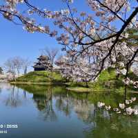 高田城址公園