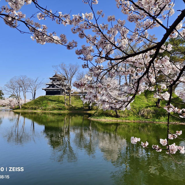 高田城址公園