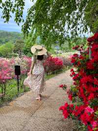 【あしかがフラワーパーク】藤の花の香りに包まれる栃木花巡りはいかが！？