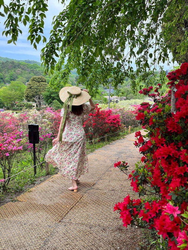 【あしかがフラワーパーク】藤の花の香りに包まれる栃木花巡りはいかが！？