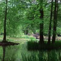 湊山公園：春天好去處，感受日式風韻