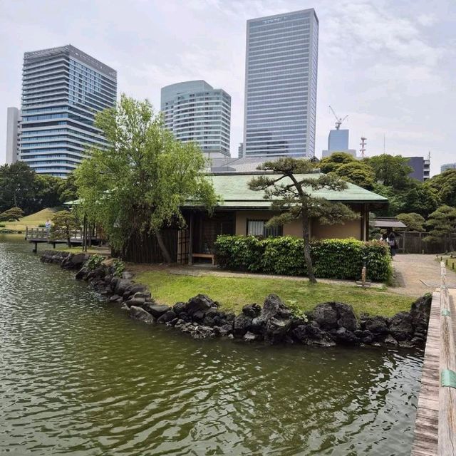 Hama-rikyu Gardens