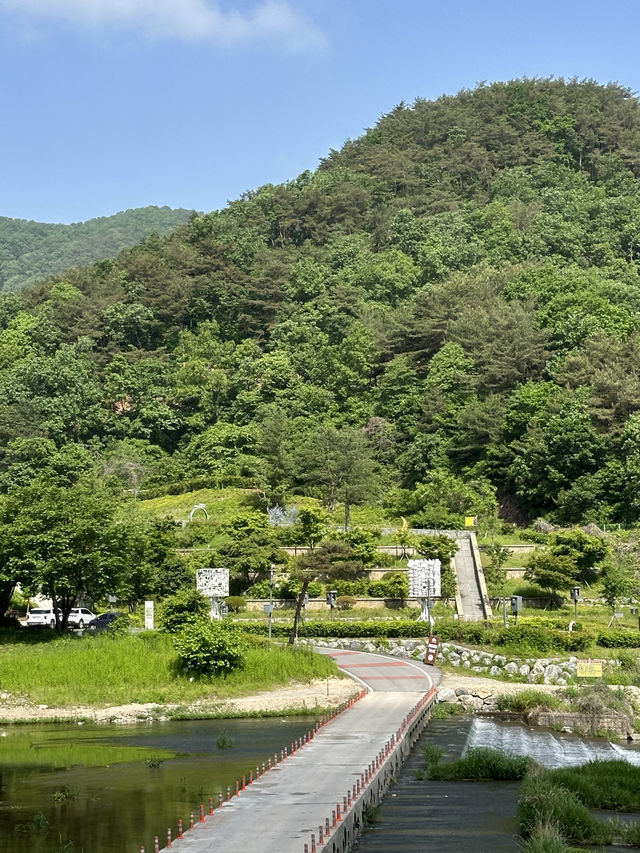 산자락에 아름다운 정원과 🌉 출렁다리에서 자연 풍경을 한눈에 보실수 있는 원주 봄여행지 추천