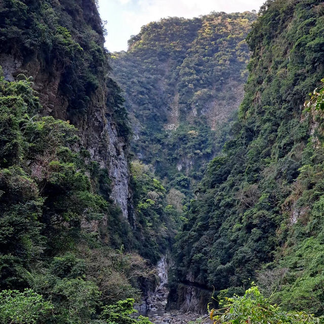 【臺北景點】碧溪步道～陽光照耀下的明亮美景