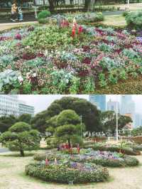 🏞️ แวะชมทิวทัศน์ของท่าเรือริมอ่าว Yokohama