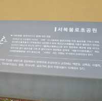 서귀포의 유래와 진시황의 불로초에 대한 전설이 있는 제주도 명소 - 서복 불로초공원