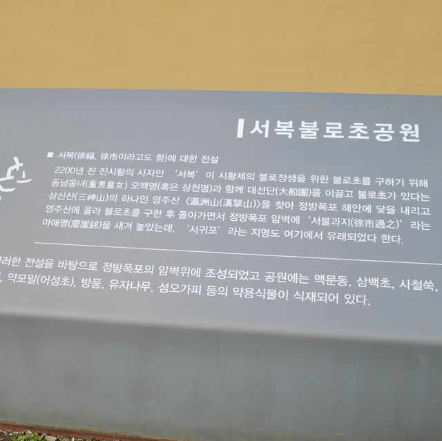 서귀포의 유래와 진시황의 불로초에 대한 전설이 있는 제주도 명소 - 서복 불로초공원