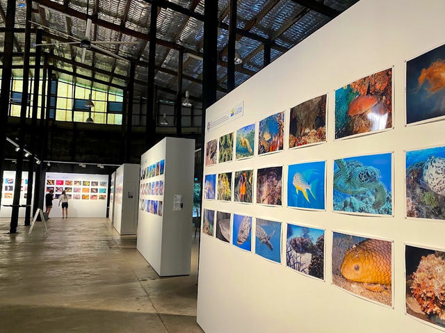 Tanks Arts Centre