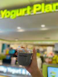 Silky Yogurt with Unique Flavours in Penang 🇲🇾
