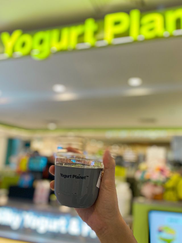 Silky Yogurt with Unique Flavours in Penang 🇲🇾