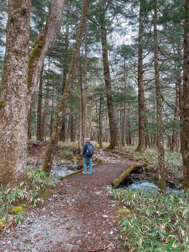 เดินเทรลในป่าสุดโรแมนติกที่ Kamikochi🌿❄️