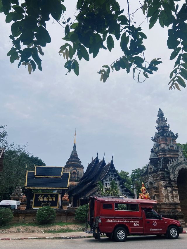 แวะมามู ณ เชียงใหม่2024