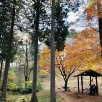 鏡山展望台：壯麗瀑布山景，享受寧靜