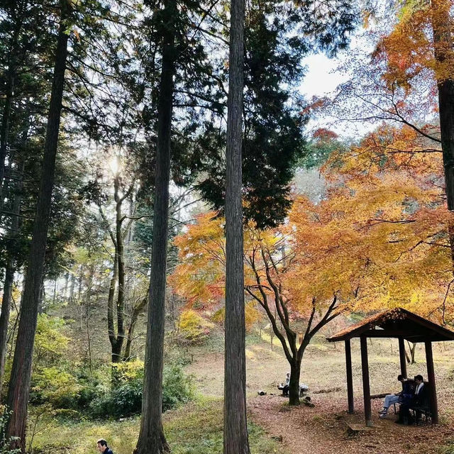 鏡山展望台：壯麗瀑布山景，享受寧靜