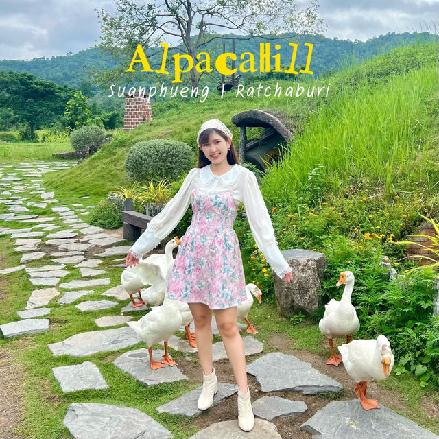 AlpacaHill สวนสัตว์ที่น่ารักสุด ๆ ในสวนผึ้งค่ะ