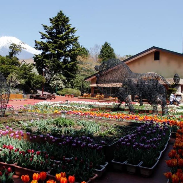 Fuji Safari Park