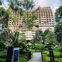 🇹🇭 Sindhorn Kempinski Mini Garden